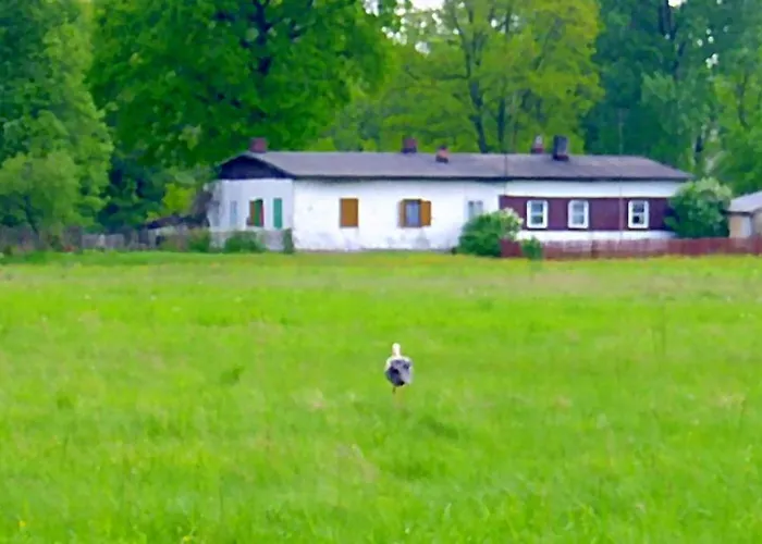 Apartamenty Przeczyce * Przeczyce